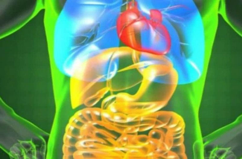 Καρκίνος στην χολή: Προσοχή στα πιο απλά συμπτώματα!